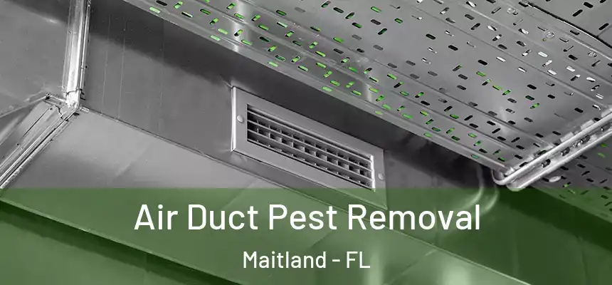 Air Duct Pest Removal Maitland - FL