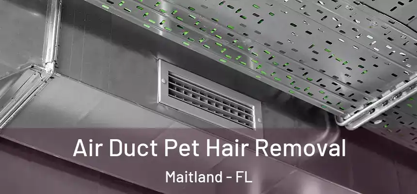 Air Duct Pet Hair Removal Maitland - FL