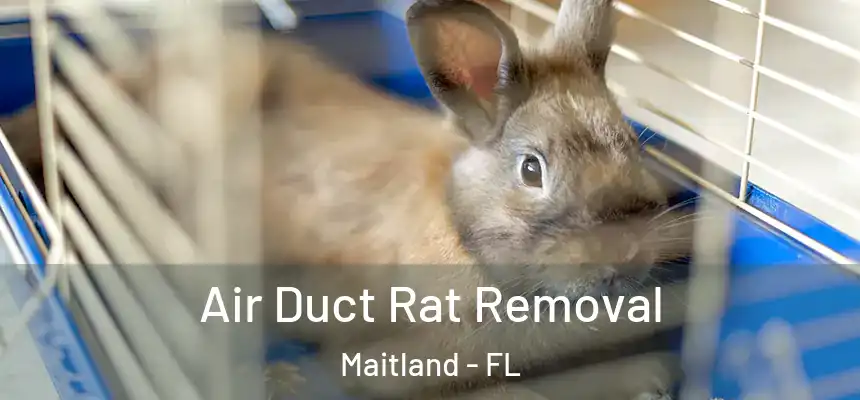 Air Duct Rat Removal Maitland - FL