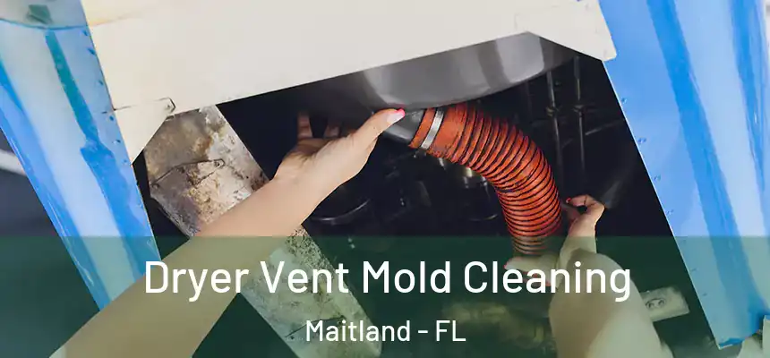 Dryer Vent Mold Cleaning Maitland - FL