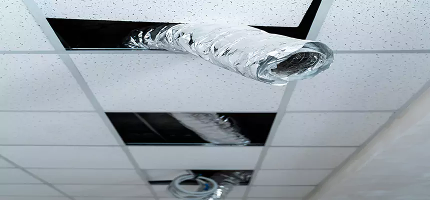 Our Air Duct Pet Hair Removal Services in Maitland, FL