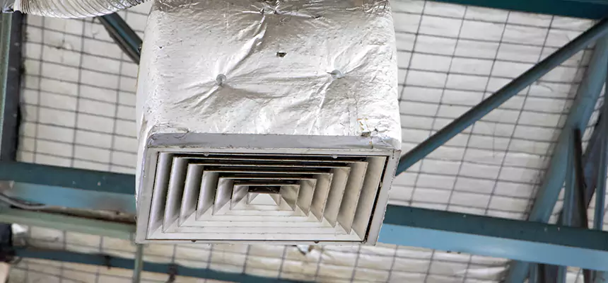 Our HVAC Mold Remediation Service Services in Maitland, FL