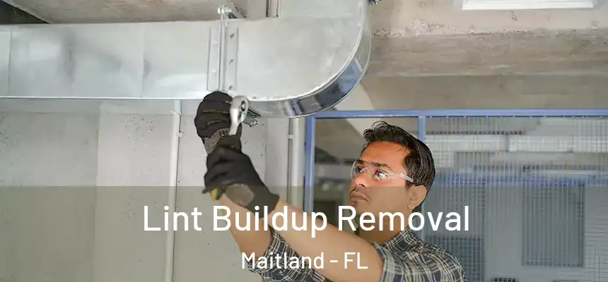 Lint Buildup Removal Maitland - FL