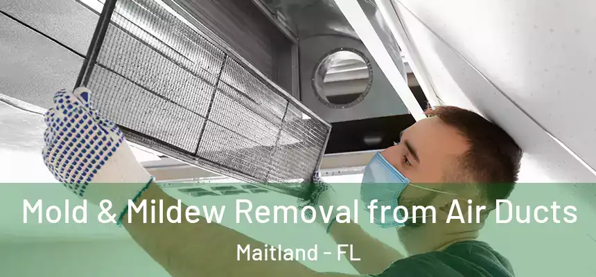Mold & Mildew Removal from Air Ducts Maitland - FL