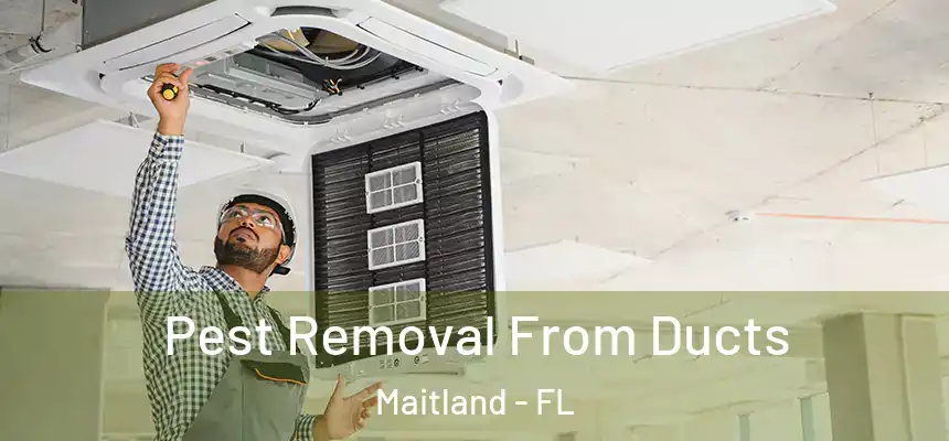 Pest Removal From Ducts Maitland - FL