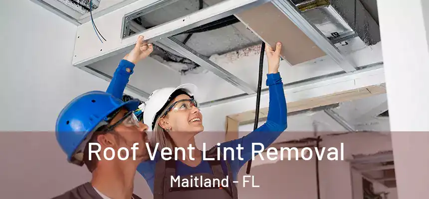Roof Vent Lint Removal Maitland - FL