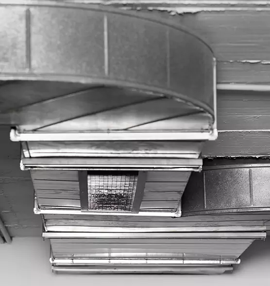 Professional Air Duct Pest Removal in Maitland, FL