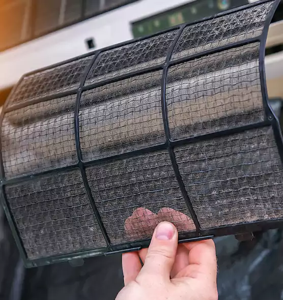 About Pet Dander Duct Cleaning in Maitland, FL